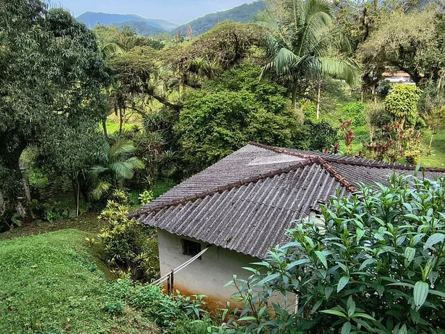 Imagem 12: Chácara na BR 277 km 31 com 90 metros de frente casa muito boa, pronta para morar