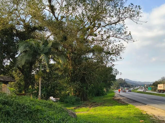 Imagem 14: Chácara na BR 277 km 31 com 90 metros de frente casa muito boa, pronta para morar