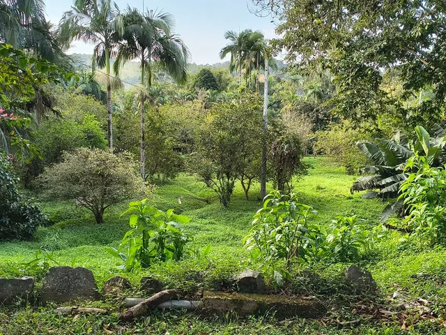Imagem 9: Chácara na BR 277 km 31 com 90 metros de frente casa muito boa, pronta para morar