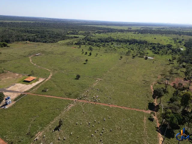 Imagem: Fazenda regiao de Bujari AC