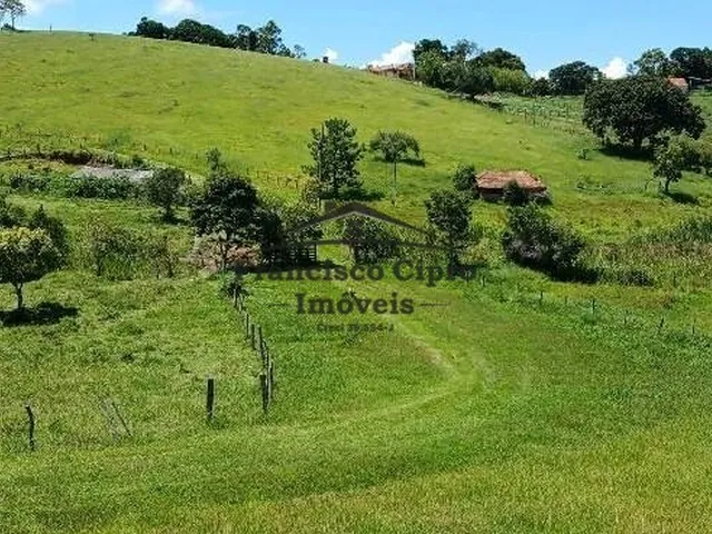 Imagem: Sítio À Venda no Bairro Rocinha - Guaratinguetá/Sp
