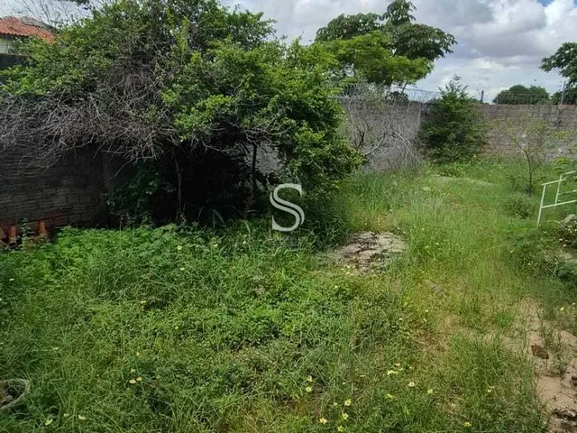 Imagem 13: Casa em Piçarreira, Teresina/PI