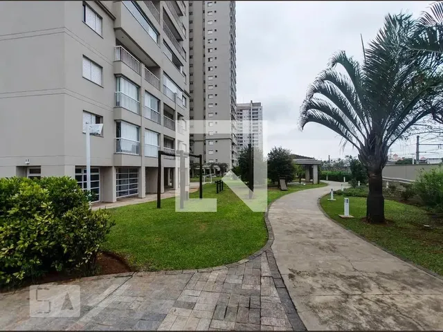 Imagem 13: Apartamento à Venda - Vila Leopoldina, 3 Quartos, 94 m2
