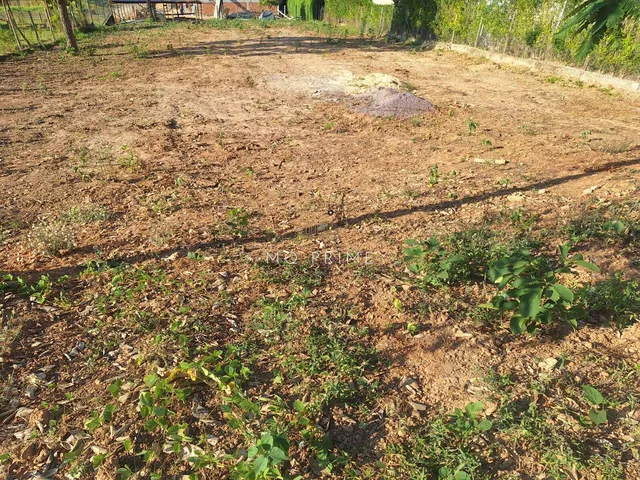 Imagem 3: Terreno de 1000M2 com Projeto Condomínio Solar das Palmeiras