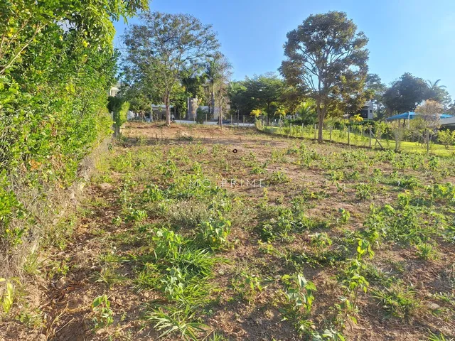 Imagem 16: Terreno de 1000M2 com Projeto Condomínio Solar das Palmeiras