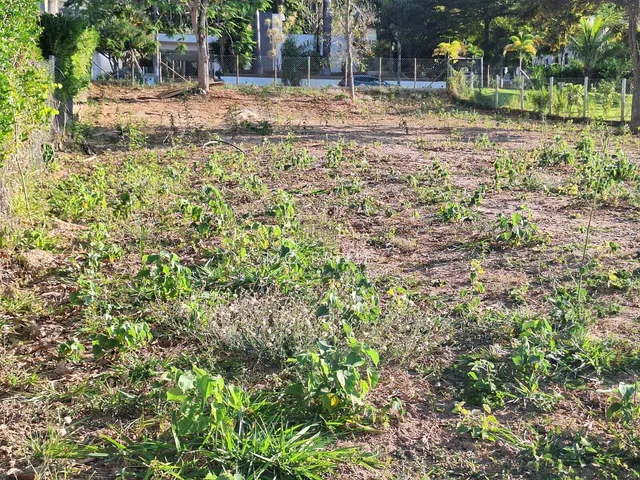 Imagem 2: Terreno de 1000M2 com Projeto Condomínio Solar das Palmeiras