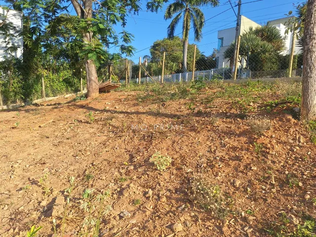 Imagem 8: Terreno de 1000M2 com Projeto Condomínio Solar das Palmeiras