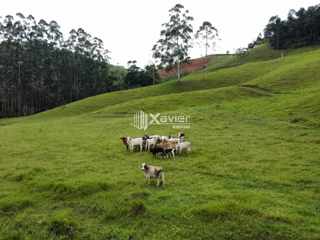 Imagem: Terreno 9,6 ha à Venda em Araguaia, Alfredo