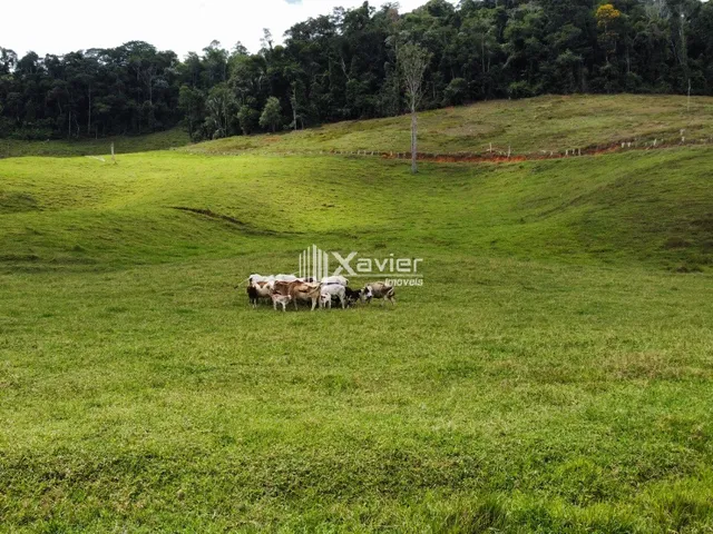 Imagem 4: Terreno 9,6 ha à Venda em Araguaia, Alfredo Chaves/ES