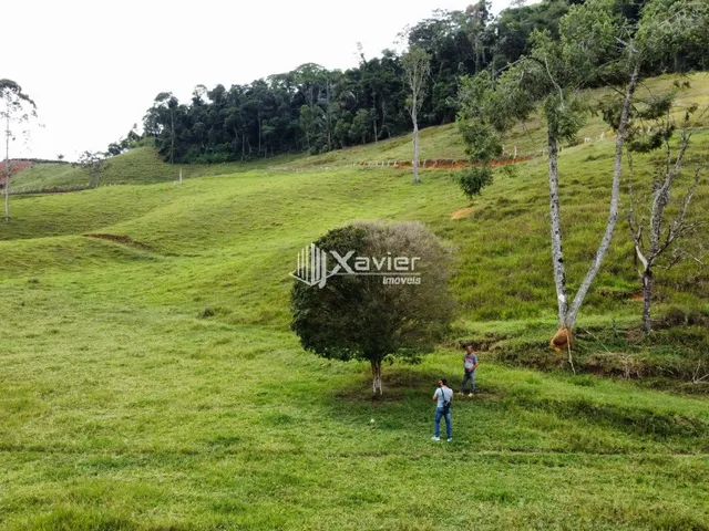 Imagem 3: Terreno 9,6 ha à Venda em Araguaia, Alfredo Chaves/ES