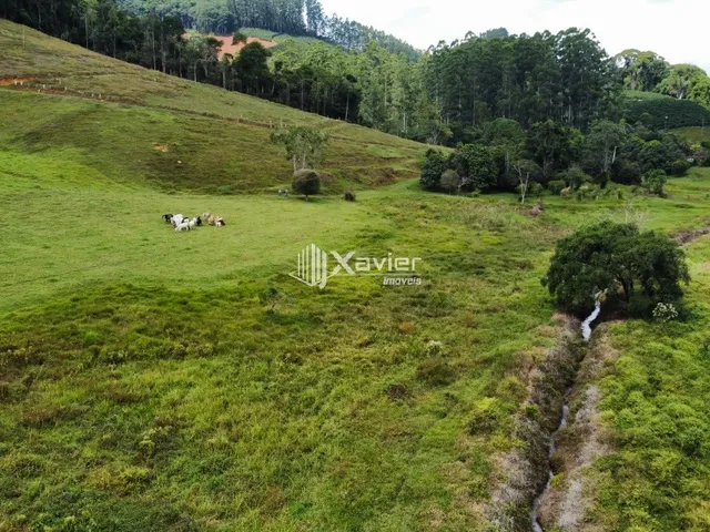 Imagem 6: Terreno 9,6 ha à Venda em Araguaia, Alfredo Chaves/ES