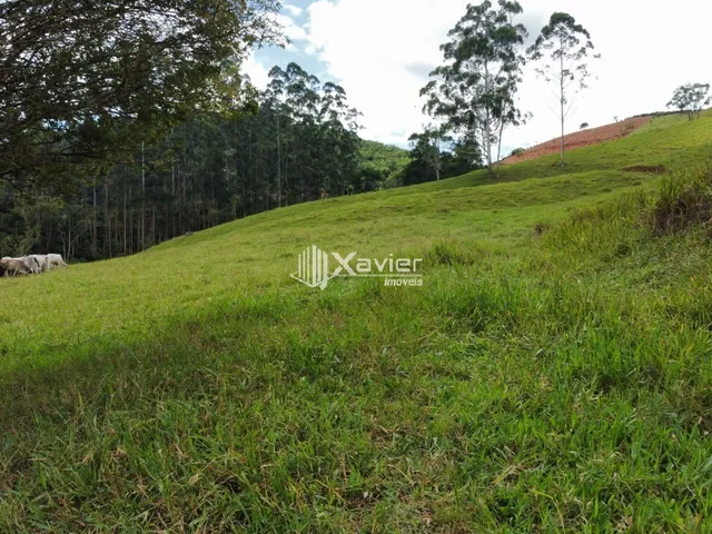 Imagem 7: Terreno 9,6 ha à Venda em Araguaia, Alfredo Chaves/ES