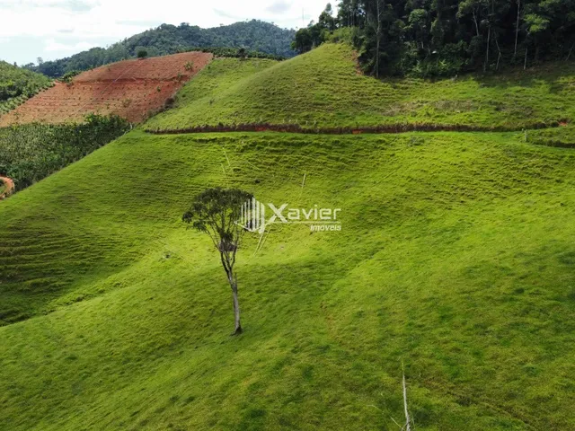 Imagem 10: Terreno 9,6 ha à Venda em Araguaia, Alfredo Chaves/ES