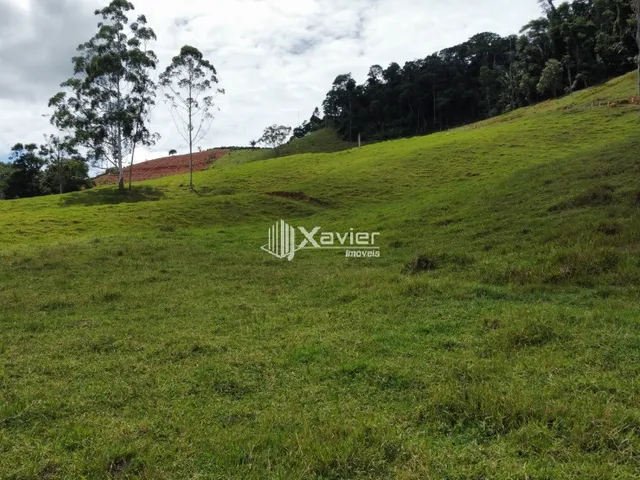 Imagem 8: Terreno 9,6 ha à Venda em Araguaia, Alfredo Chaves/ES