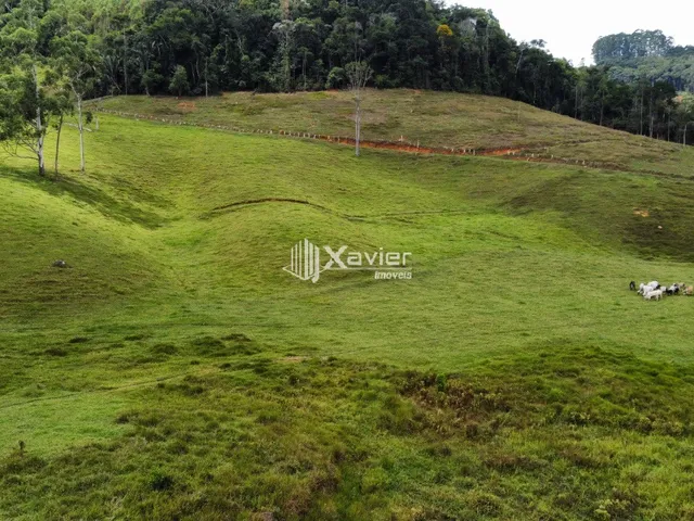 Imagem 13: Terreno 9,6 ha à Venda em Araguaia, Alfredo Chaves/ES