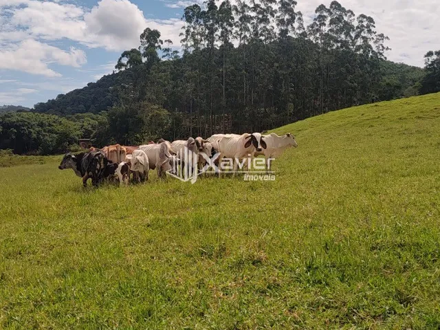 Imagem 14: Terreno 9,6 ha à Venda em Araguaia, Alfredo Chaves/ES
