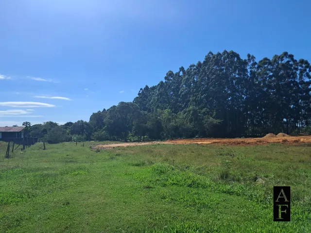 Imagem: Terreno em Loteamento no Bairro Campo Duna