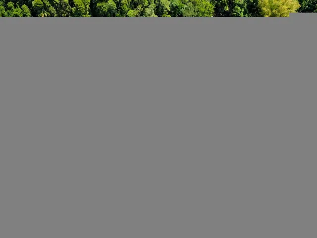 Imagem 3: ÁREA PLANA DE 3.800 M² COM LAGOA NA ROTA DA FERRADURA EM BUENOS AIRES GUARAPARI