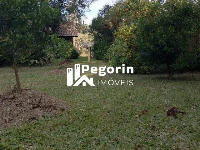 Imagem 3: CHACARA 2.000M² PIRAQUARA PROXIMO A BR 277