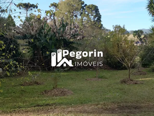 Imagem 6: CHACARA 2.000M² PIRAQUARA PROXIMO A BR 277