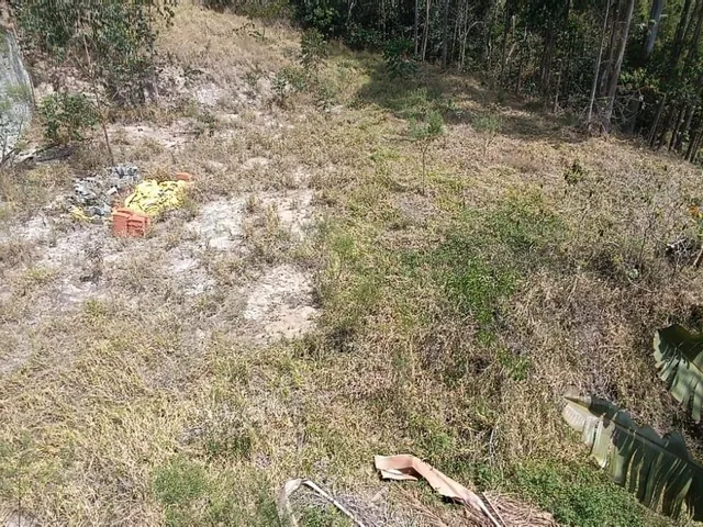 Imagem 2: Terreno em santa Branca