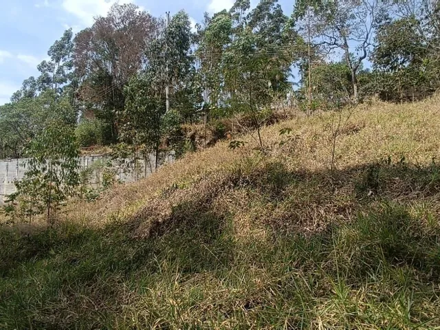 Imagem 4: Terreno em santa Branca