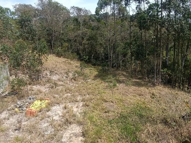Imagem 3: Terreno em santa Branca