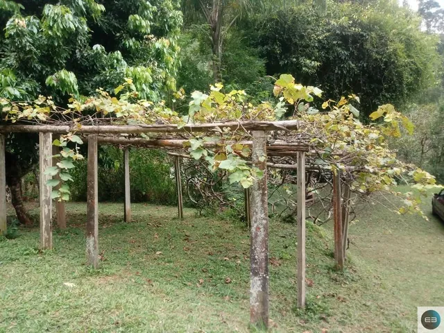 Imagem 6: Sítio em Taubaté 35 Alqueires