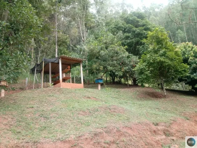 Imagem 14: Sítio em Taubaté 35 Alqueires