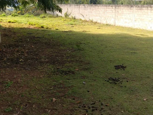Imagem: Terreno Alto Padrão