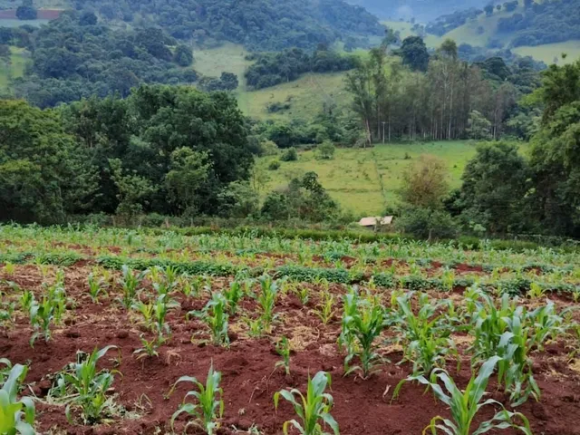 Imagem: Chácara em Brazopolis