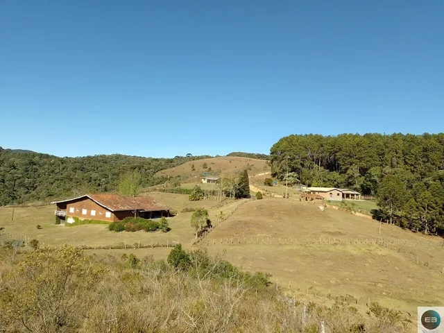 Imagem 1: Fazenda em Delfim Moreira Mg 79 Alqueires