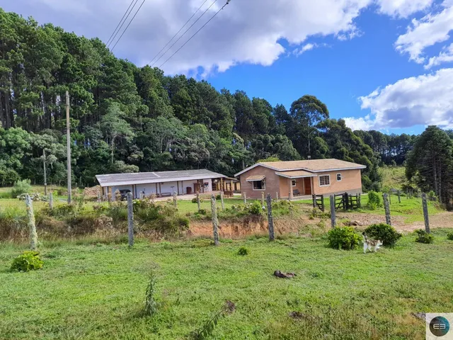 Imagem 8: Fazenda em Delfim Moreira Mg 79 Alqueires