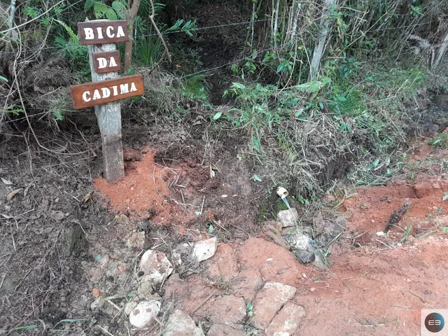 Imagem 12: Fazenda em Delfim Moreira Mg 79 Alqueires