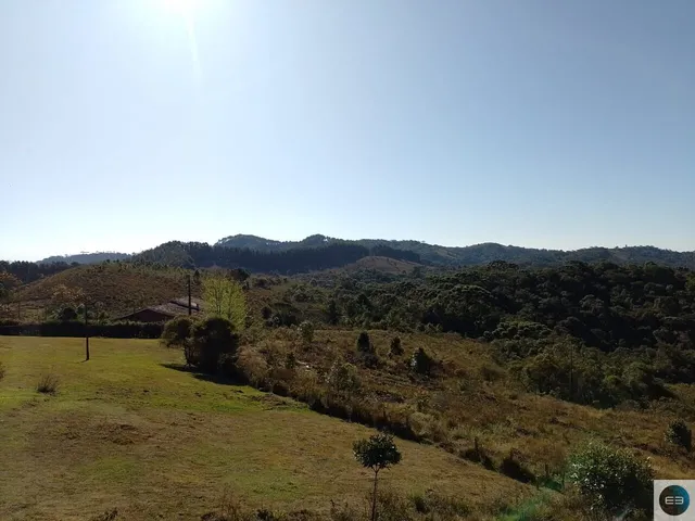 Imagem 16: Fazenda em Delfim Moreira Mg 79 Alqueires