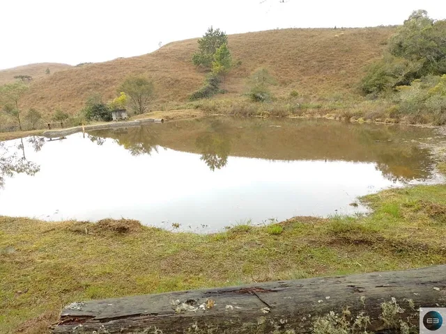 Imagem 14: Fazenda em Delfim Moreira Mg 79 Alqueires