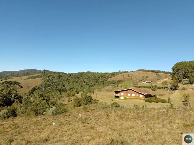 Imagem 6: Fazenda em Delfim Moreira Mg 79 Alqueires