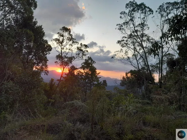 Imagem 4: Fazenda em Delfim Moreira Mg 79 Alqueires