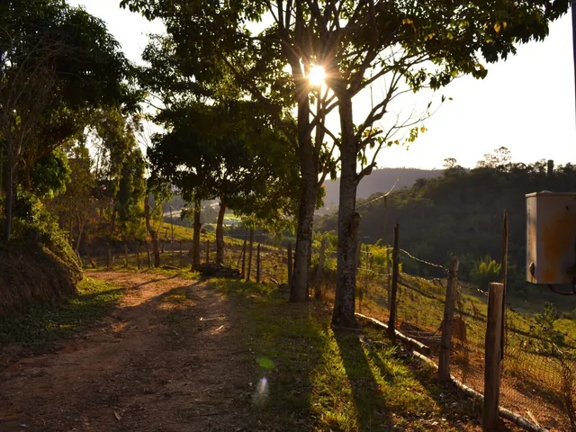 Imagem 6: Sítio em Jambeiro, 3,7 Alqueires