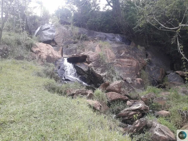 Imagem 10: Área em Pinda 13 Alqueires