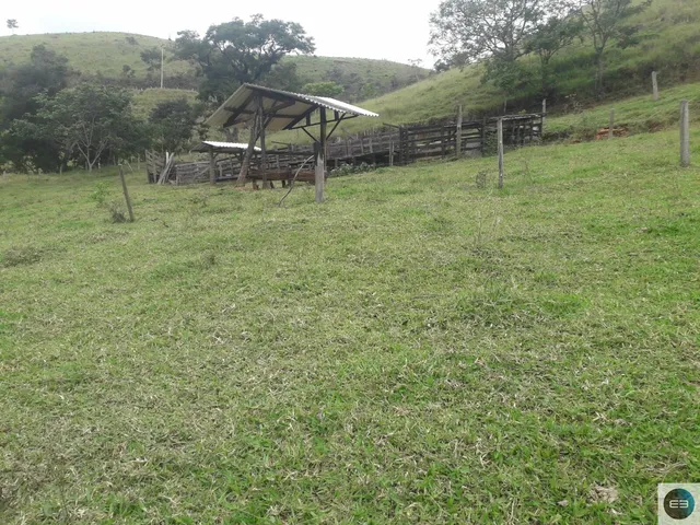 Imagem 7: Área em Pinda 13 Alqueires
