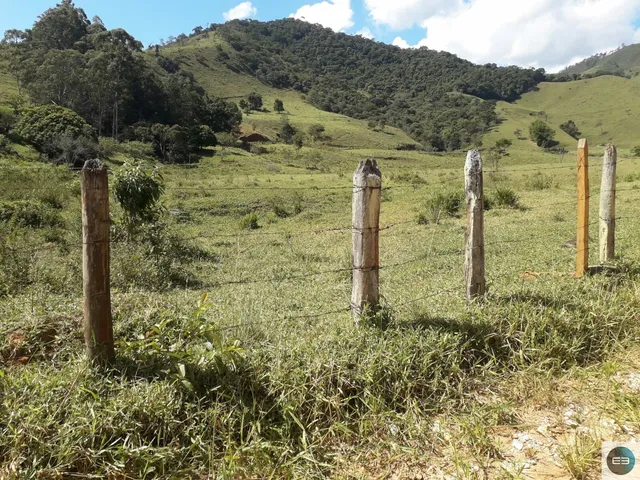 Imagem 11: Área em Pinda 13 Alqueires