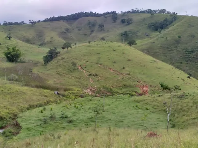 Imagem 14: Área em Pinda 13 Alqueires