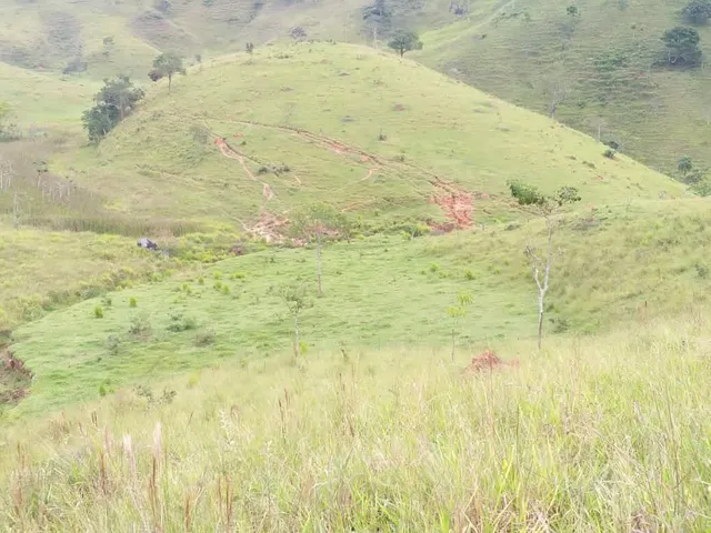 Imagem 8: Área em Pinda 13 Alqueires
