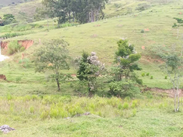 Imagem 3: Área em Pinda 13 Alqueires
