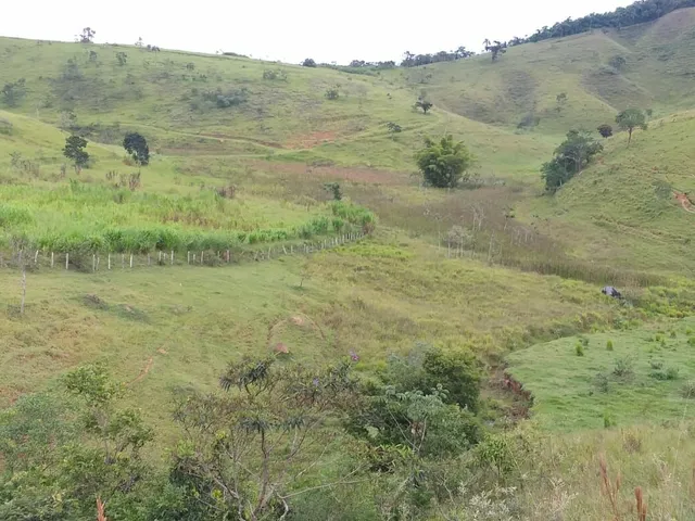 Imagem 16: Área em Pinda 13 Alqueires