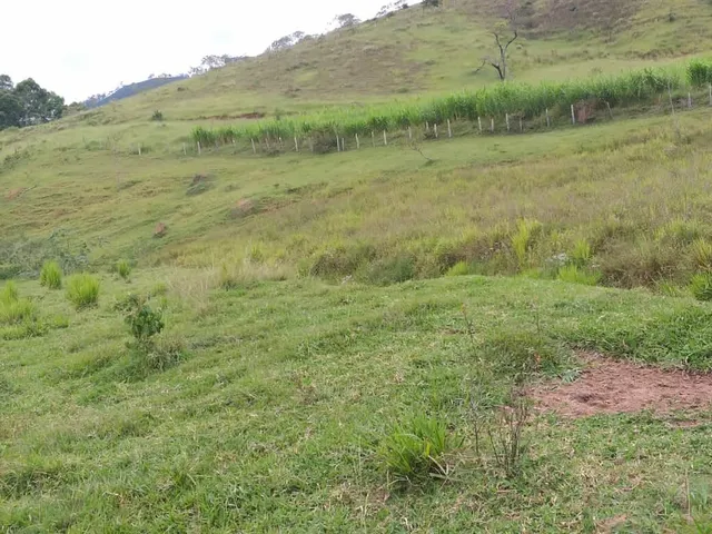 Imagem 12: Área em Pinda 13 Alqueires