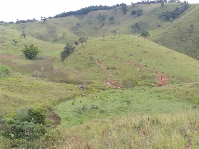 Imagem 4: Área em Pinda 13 Alqueires