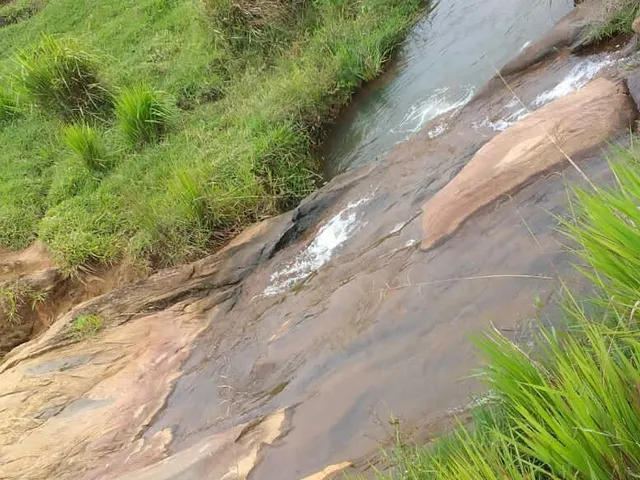 Imagem 9: Área em Pinda 13 Alqueires