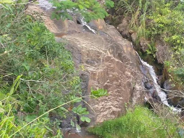 Imagem 5: Área em Pinda 13 Alqueires